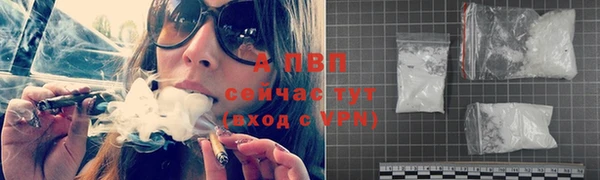 гашик Тихвин