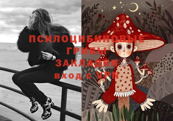 гашик Тихвин