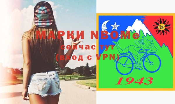 гашик Тихвин