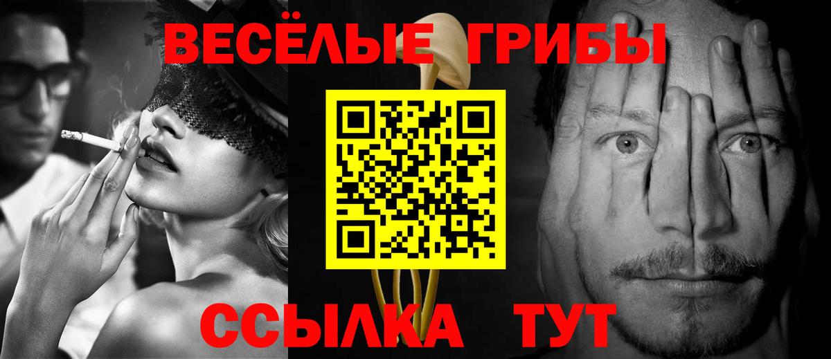 Холмск  Псилоцибиновые грибы прущие грибы  Вход с VPN 